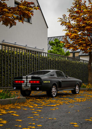 MUSTANG GT500 SHELBY 1976